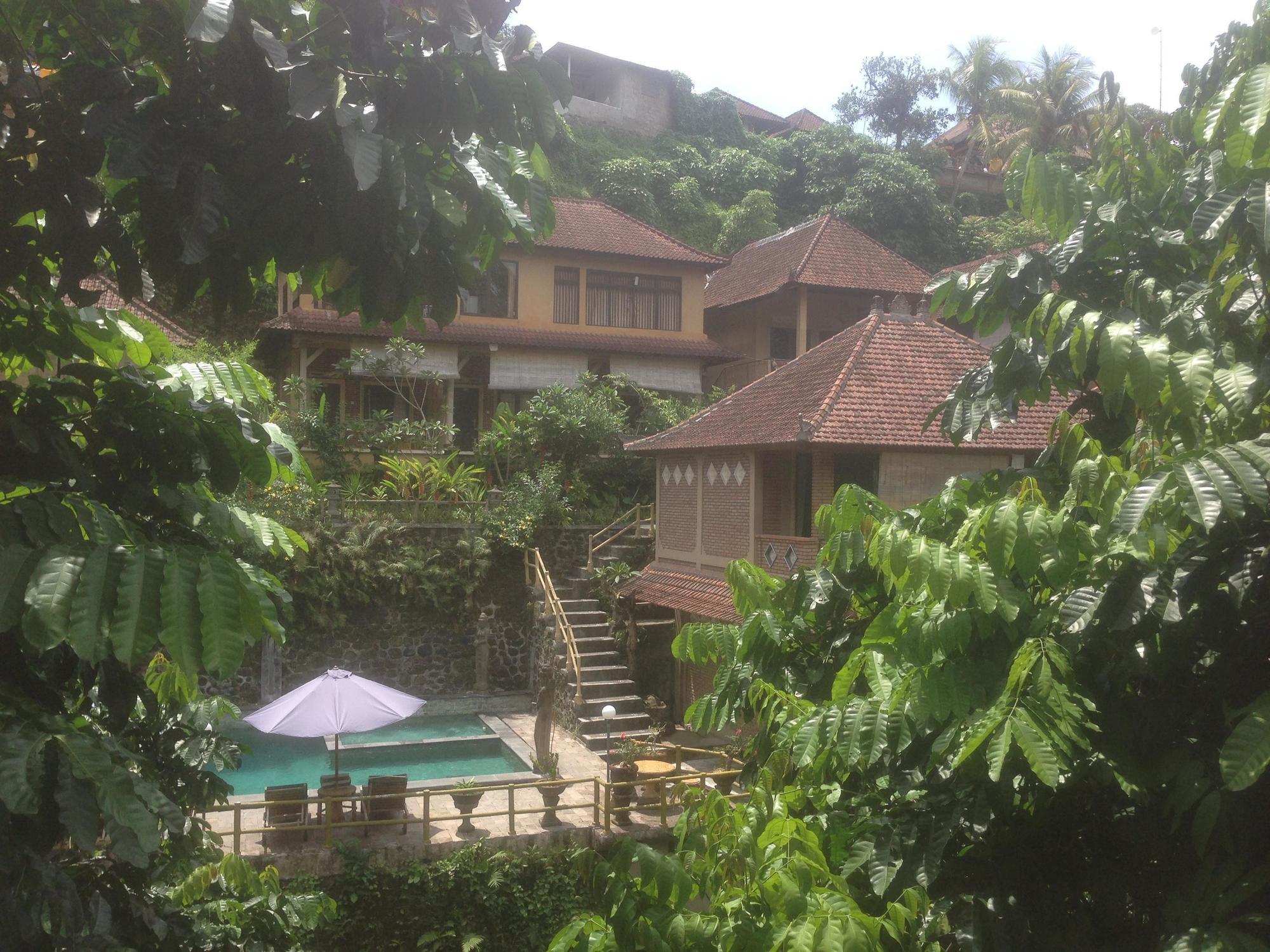Ani'S Villas Ubud Extérieur photo