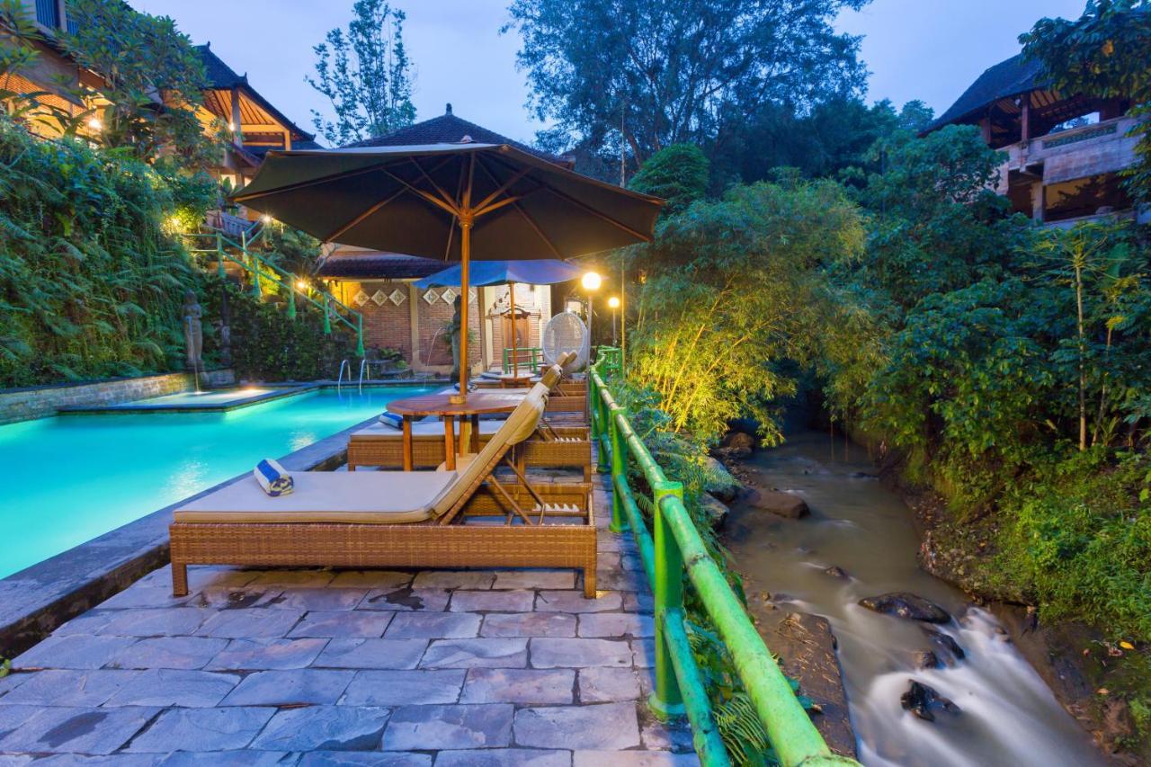 Ani'S Villas Ubud Extérieur photo