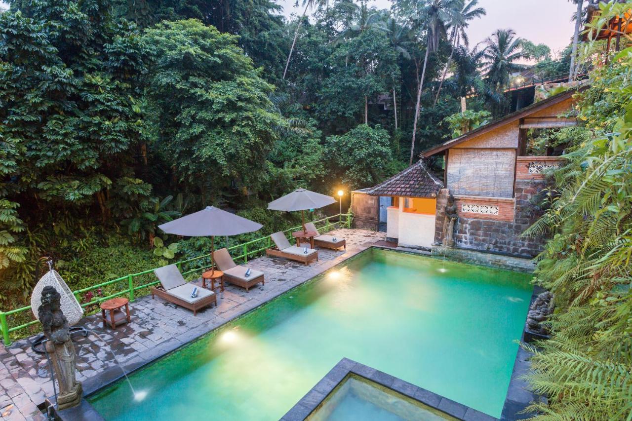 Ani'S Villas Ubud Extérieur photo